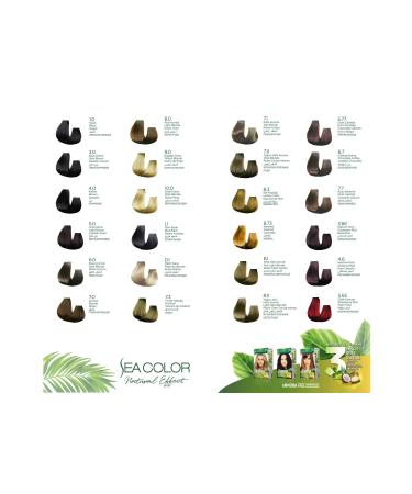 Sea Color Ammonia-Free Vegan Natural Nourishing Permanent Hair Dye0 White Cover (1 PACK 2 x 50 ML) - Buy Online on GoSupps.com