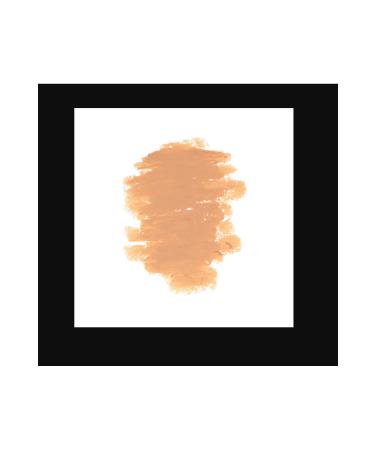 BenNye Bella Poudre Palette