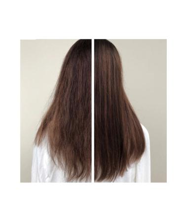 KIRINTI 2000 Argan Oil Herbal Shampoo 400 ml