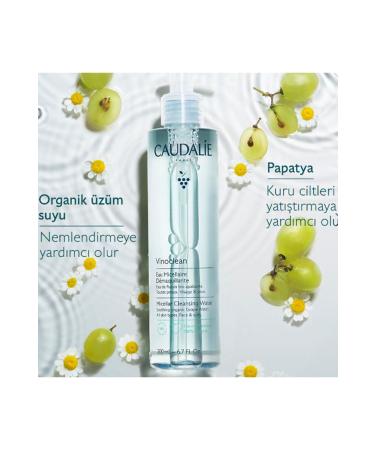 Chanel LES BEIGES WATER-FRESH TINT- Light Micro-Droplet Formula Moisturizing Water Based Foundation 30ML - Buy Online on GoSupps.com