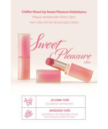 CLIO Soft Textured Light Matte Lipstick CLIO Chiffon Mood Lip (09 Strawberry Cookie) - Buy Online on GoSupps.com