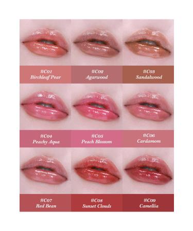 Cosmetics Flower Knows Butterfly Cloud Collar Glossy Lipstick C01 - Buy Online on GoSupps.com