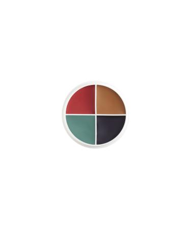 Eva Rose Colored Hair Chalk Hair Coloring Chalk