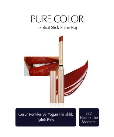 Estee Lauder LIPSTICKS AND PLUMS LIPSTICK -222 HEAT OF THE MOMENT PASS .205