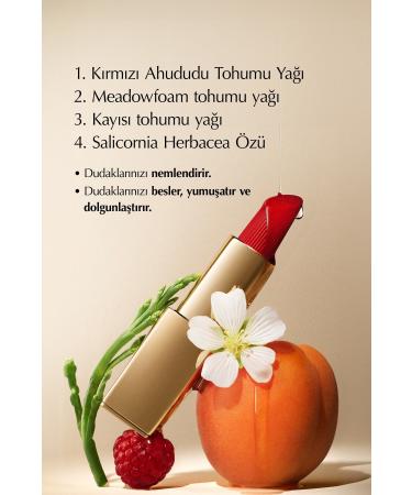 Estee Lauder Matte Finish Lipstick - Pure Color Matte Lipstick - 3.5gr - Color: 816 Suit Up - Buy Online on GoSupps.com