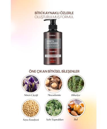 Kundal Anti-Breakage Nourishing Care Shampoo KUNDAL Honey& Macadamia Nature Shampoo 500ml Blackberry Bay - Buy Online on GoSupps.com
