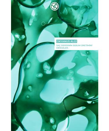 Yves Rocher Purifying Shampoo for Oily Hair (Pure Detox) - Vegan-300 ml - Buy Online on GoSupps.com