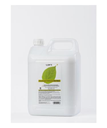 Lindsay Calendula Modeling Mask Cup Pack Calendula Essence Face Mask (DISPOSABLE 28GR)