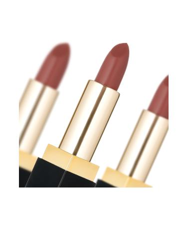 Cocosh She Silk Velvet Lipstick 01 Rust Moisturizing Effect Intense Pigmentation Velvety Lips - Buy Online on GoSupps.com