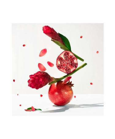 Roger&Gallet GINGEMBRE ROUGE Pink Fruit - Ginger - Benzoin containing Wellbeing Body Lotion 250 ml - Buy Online on GoSupps.com