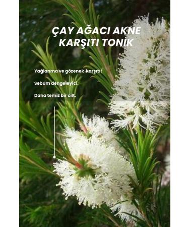 Bade Natural Tea Tree Anti-Acne and Pore Tightening Purifying Tonic 100 ml - Buy Online on GoSupps.com