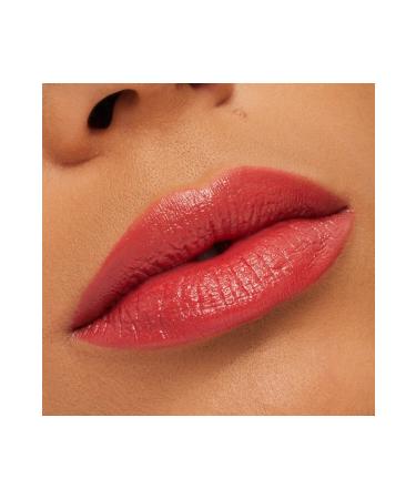 Mac Special Set for Christmas-Stay Curious Party Crew Vault Demb.1802 - Buy Online on GoSupps.com