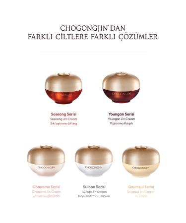 Missha Anti-Blemish Moisturizing Toning Sunscreen CCHOGONGJIN Sulbon Jin Tone-Up Sunscreen - Buy Online on GoSupps.com