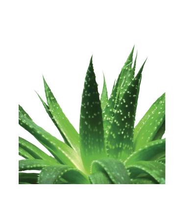 Organic Colour Systems Aqua Boost Moisture Shampoo 400 ml - Buy Online on GoSupps.com