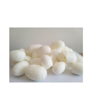 FAGIDA Silkworm Cocoon 20pcs Face Peeling Silkworm Cocoon Silkworm Cocoon