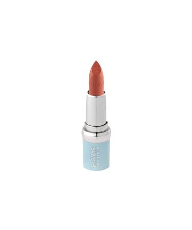 Farmasi Bb Matte Lipstick 4g-01