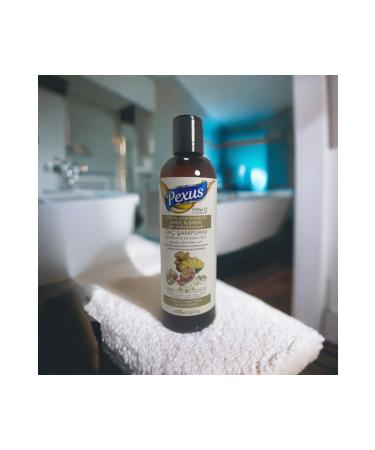 Tex PEXUS GARLIC & GINGER EXTRACT HERBAL CONTENT SHAMPOO 400ML