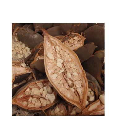 benefit cosmetics Fine Tip Eyebrow Pencil FLEUR COSMETIC