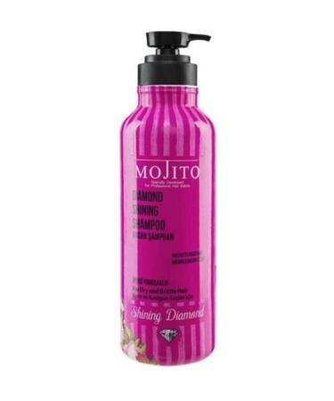 Mojito Argan Oil Care Super Shampoo for Dry Hair 1000 Ml