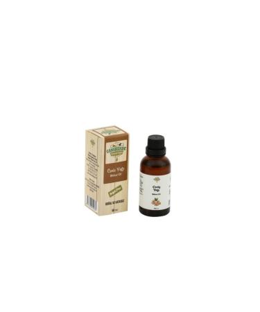 Revox Horsetail Herbal Essence Shampoo 750 ml