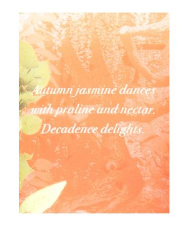 Victoria's Secret Limited Edition Nectar Drip Body Lotion - Buy Online on GoSupps.com