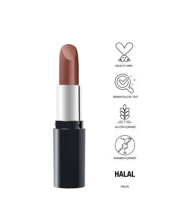 Pastel Easy Applicable Moisturizing Thin and Light Texture Shiny Finish Nude Lipstick-536 eleg.1599