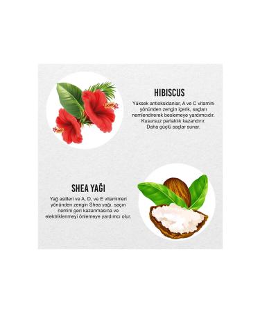 Urban Care Twisted Curls Hibiscus & Shea Butter Leave-In Conditioner 175 ml - Buy Online on GoSupps.com