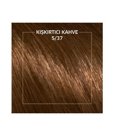 Wella Koleston Kit Hair Dye 5/37 Provocative Brown - Buy Online on GoSupps.com