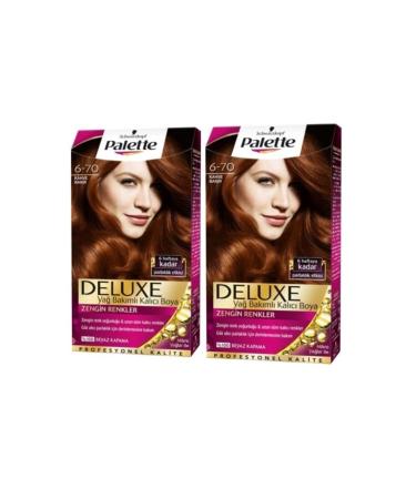 Palette Deluxe Hair Dye 6/70 Brown Copper X 2 Pieces