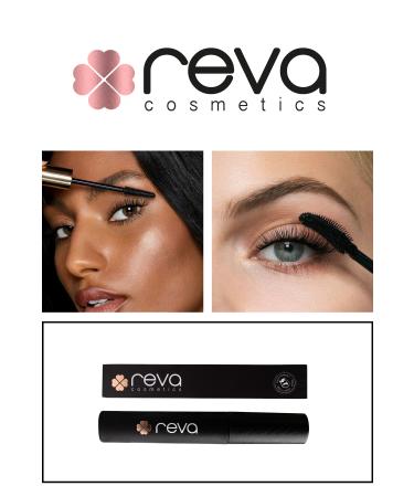 LILYUM Multi Color Eyeshadow - No: 03 - Buy Online on GoSupps.com