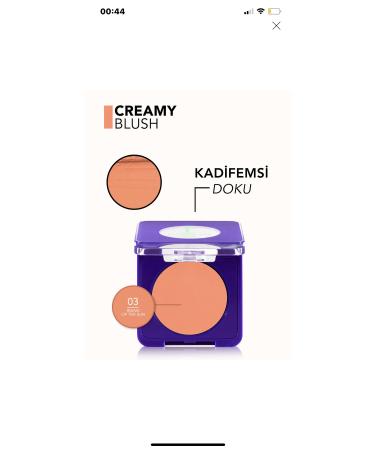 Flormar Metaglam 03 Rising Of The Sun Blush