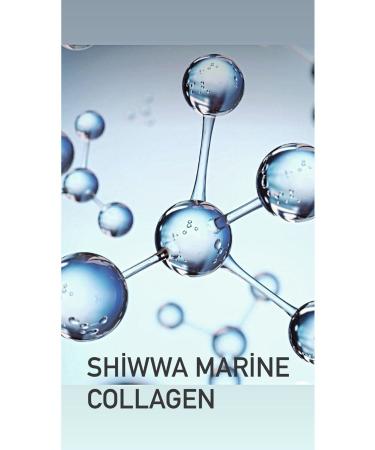 Vita Ceel Magnesium Complex and Collagen Type 1 3 Containing Bisglycinate Malate Citrate B6