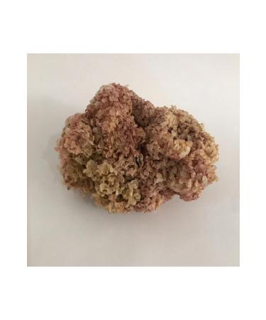 Tropical Super Goldfish Mini Sticks Stick Fish Food for Goldfish 250 ml 150 gr