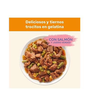 Cat Chow Pouch Adult Cat Food with Salmon and Green Beans 85gr x 26 Pieces - Buy Online on GoSupps.com