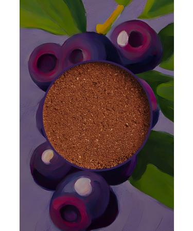 Gourmet Gold Savoury Cake Chicken Cat Canned Food 85 gr 6 Pieces