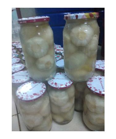 Crunchy Pickle Pickle Garlic Pickle 2 kg - Buy Online on GoSupps.com