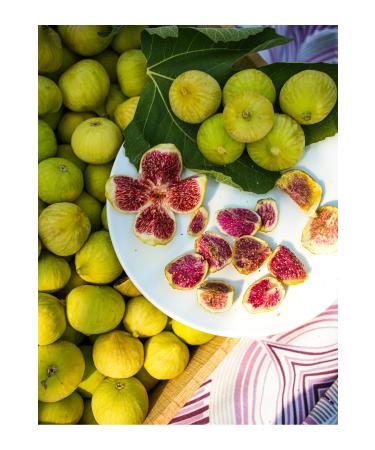 farmer lykia Melli Fig Freeze Dried Fruit Chips - 10 Pieces of 30gr Freeze Dried Melli Fig