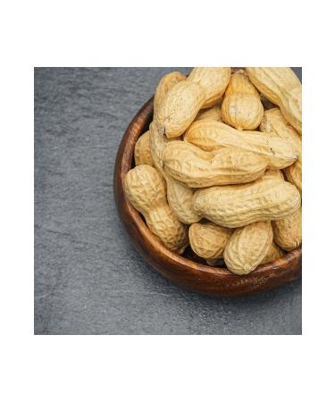Ravza Dates Extra Salted Pumpkin Seeds 500 gr kg