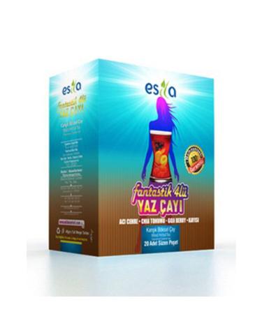 ES LA Fantastic 4-Pack Summer Tea 45-Pack Original