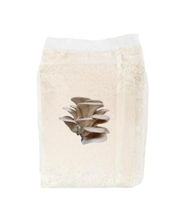 Klas Oyster mushroom seed 1 kg