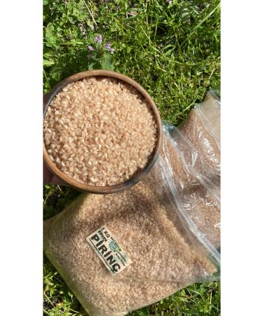 Natulife Pumpkin Seeds Raw 1 Kg (GLUTEN FREE)