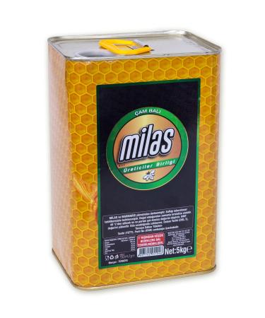 Milas Producers Association Pure Pine Honey 5kg Tin 2nd milking (FOR PROMOTION PURPOSES)
