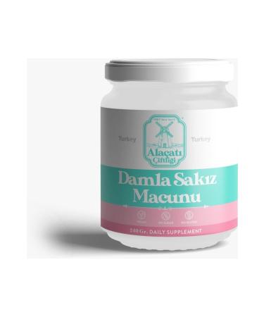 Ala at Gum Paste 240 Gr - Buy Online on GoSupps.com