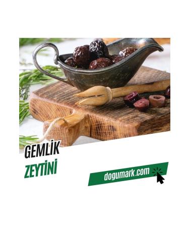 DoguMark Gemlik Olive - 260-290 Caliber (1 KG)