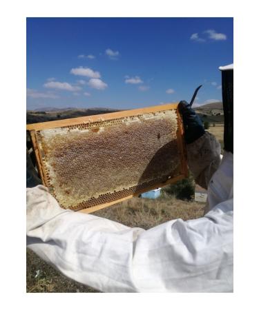 OZMU HONEY Lath Honey 3.4kg