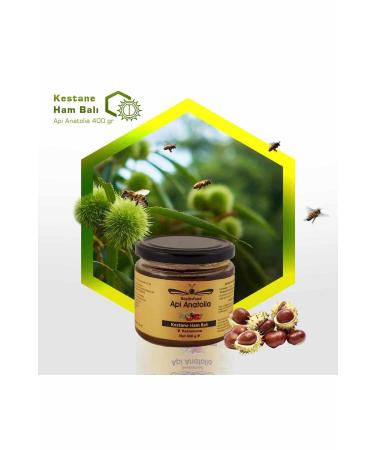 Apianatolia Beeonfood Kastamonu Chestnut Honey 400g.