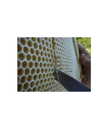 Aziz Dede Honey Natural Black Hive Comb Honey (450 G. - 500 G.)