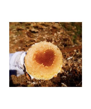 Hizan Karakovan Pollen Comb Flower Honey (1kg) - Buy Online on GoSupps.com