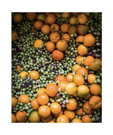 Mad Chef's Bodrum Tangerine Extra Virgin Olive Oil 250 ml - Buy Online on GoSupps.com