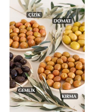 kozoliv Natural Ayval k Variety Cracked Green Olives 400 gr Glass Jar - Buy Online on GoSupps.com